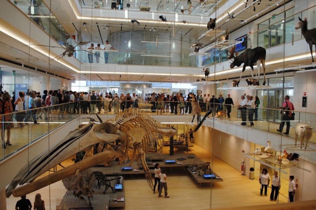 Museo del Vicino Oriente, Egitto e Mediterraneo