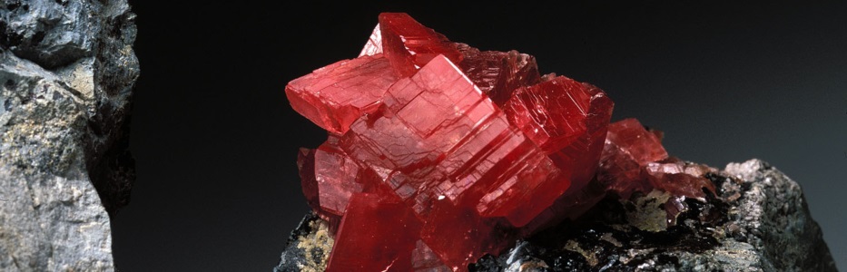 Museo Universitario di Scienze della Terra